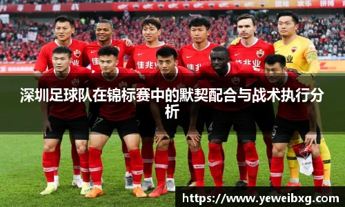 深圳足球队在锦标赛中的默契配合与战术执行分析